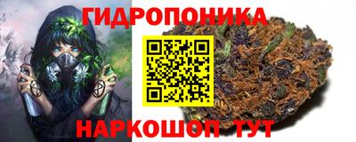 ГАЛЛЮЦИНОГЕННЫЕ ГРИБЫ Камышлов